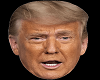 Donald Trump 1.0 Head