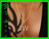 Dev's necklace