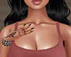 ALANA SET V2