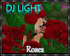DJ LIGHT - Roses