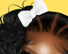 m. Jayda Curly