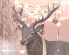Deer Frozen pink