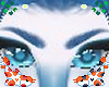 Morpho Brows