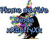 Plume de tete dinde