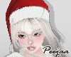 PJ🎅🏼Santa Hat