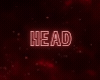 EXC HEAD FABIM - DK