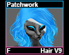 Patchwork Hair F V9