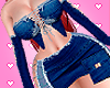 ❣ Denim Set LLT F