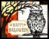 Happy Halloween Owl Art