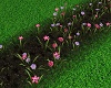 Country 3D Flowers