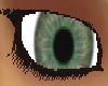 Green grey eyes F