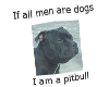 if men r dogs pitbull