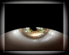 Eyes Gold [ M/F ]