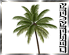 ANIMATED PALM