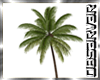 ANIMATED   PALM