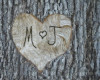 M+J Initials on a Tree