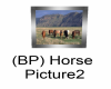 (BP) Horse Picture2