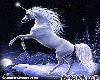 Ani Winter Unicorn1 LG