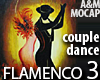 FLAMENCO Couple 03 Dance
