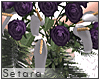[S]Exadysis Bouquet