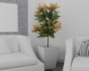 Natura Nook