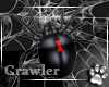 Black Widow -Crawler