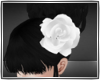 {J.E} White Flower