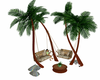 Palm trees and swing