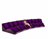 plum couch