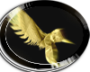 DP* Dimension Coins 1