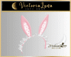 Easter Pink Tiara/Set