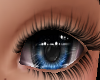 Big Blue Baby Eyes