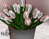 $ Abi- White Tulips