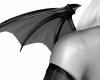 ~lil bat wings~