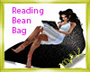 Reading Bean Bag Chair