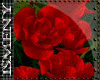 [Is] Red Roses on Wall