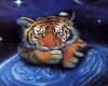 Tiger Planet