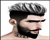 Grey Hair Men
