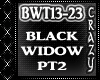 Iggy A~BlackWidowTrap2