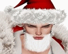 Santa Beard