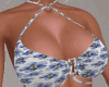 Ary Bikini Top