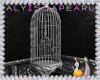 :A: Scream Birdcage