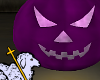 +L+ Purple Pumpkin