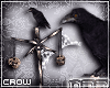 .n77 Crow Company 
