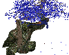 Blue Kissing Tree