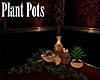 [M] Plant Pots