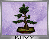 K| Kokeshi bonsai tree