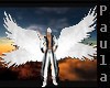 [P] M/F Wings White