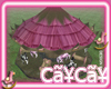 CaYzCaYz Carousel