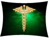 ~IDY~ Physician Pillow